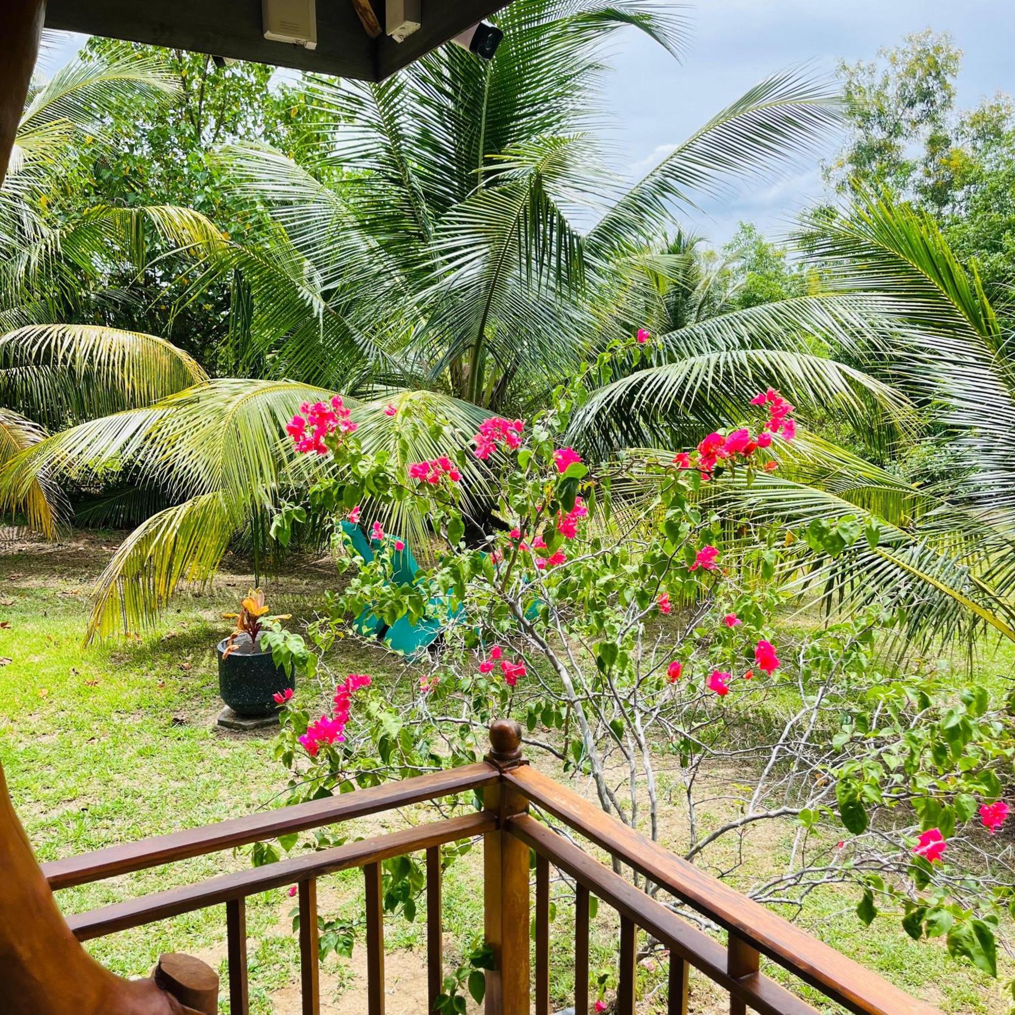 Hanguk Lanka Lagoon Villa 탕갈레 외부 사진