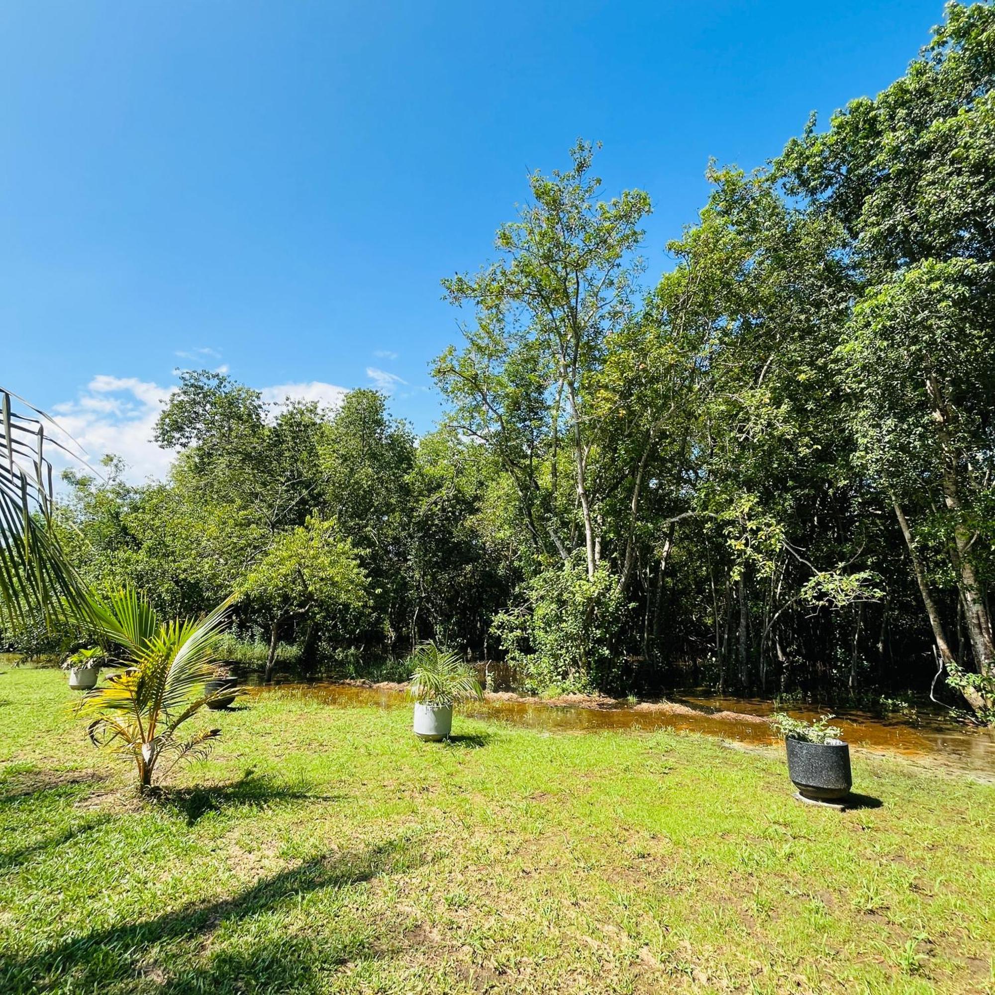 Hanguk Lanka Lagoon Villa 탕갈레 외부 사진