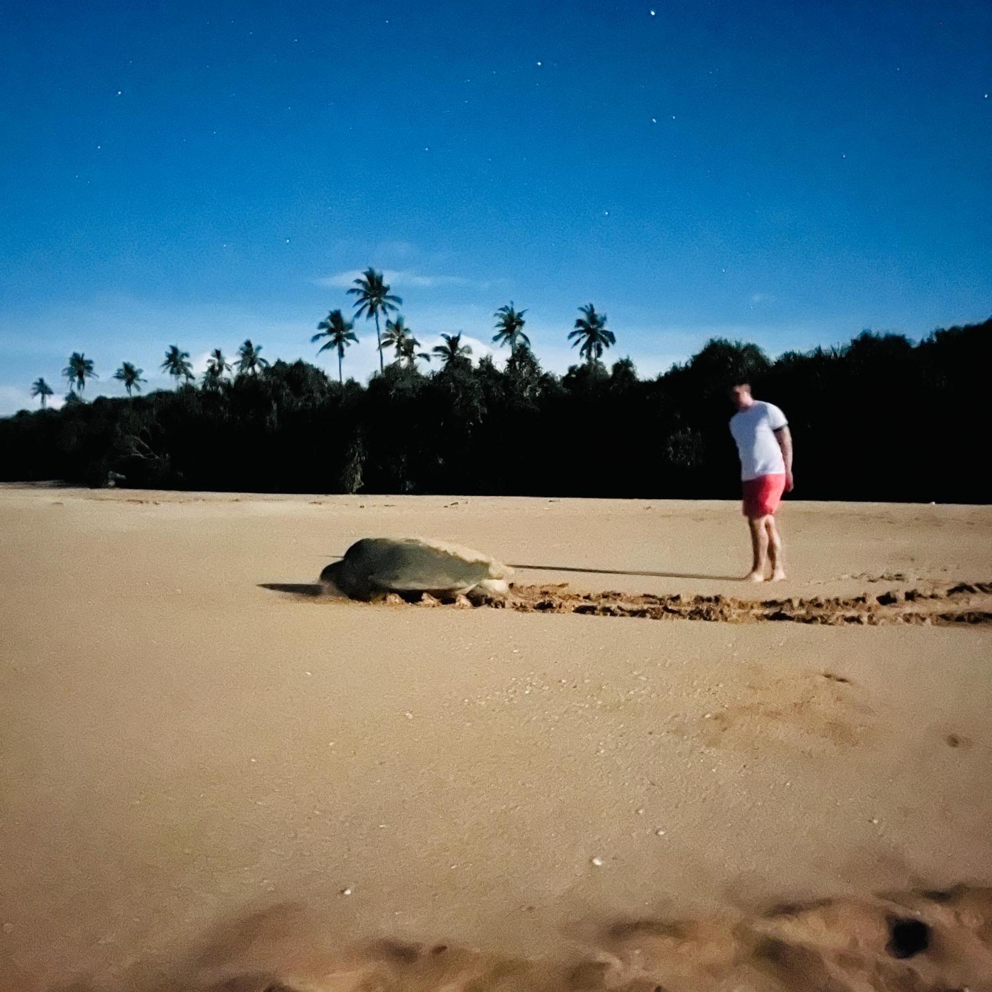 Hanguk Lanka Lagoon Villa 탕갈레 외부 사진