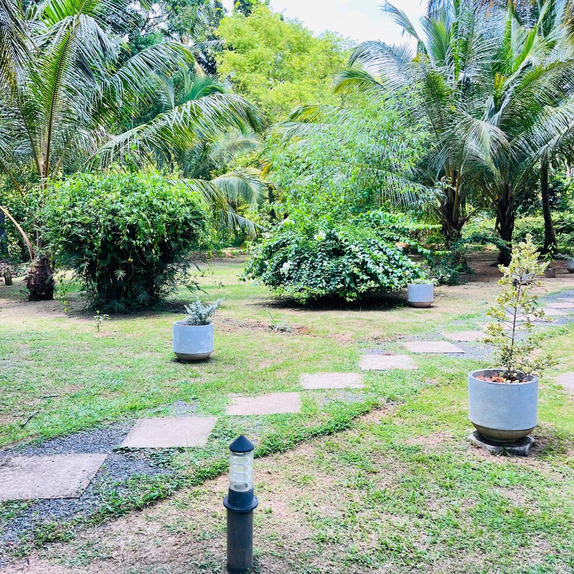 Hanguk Lanka Lagoon Villa 탕갈레 외부 사진
