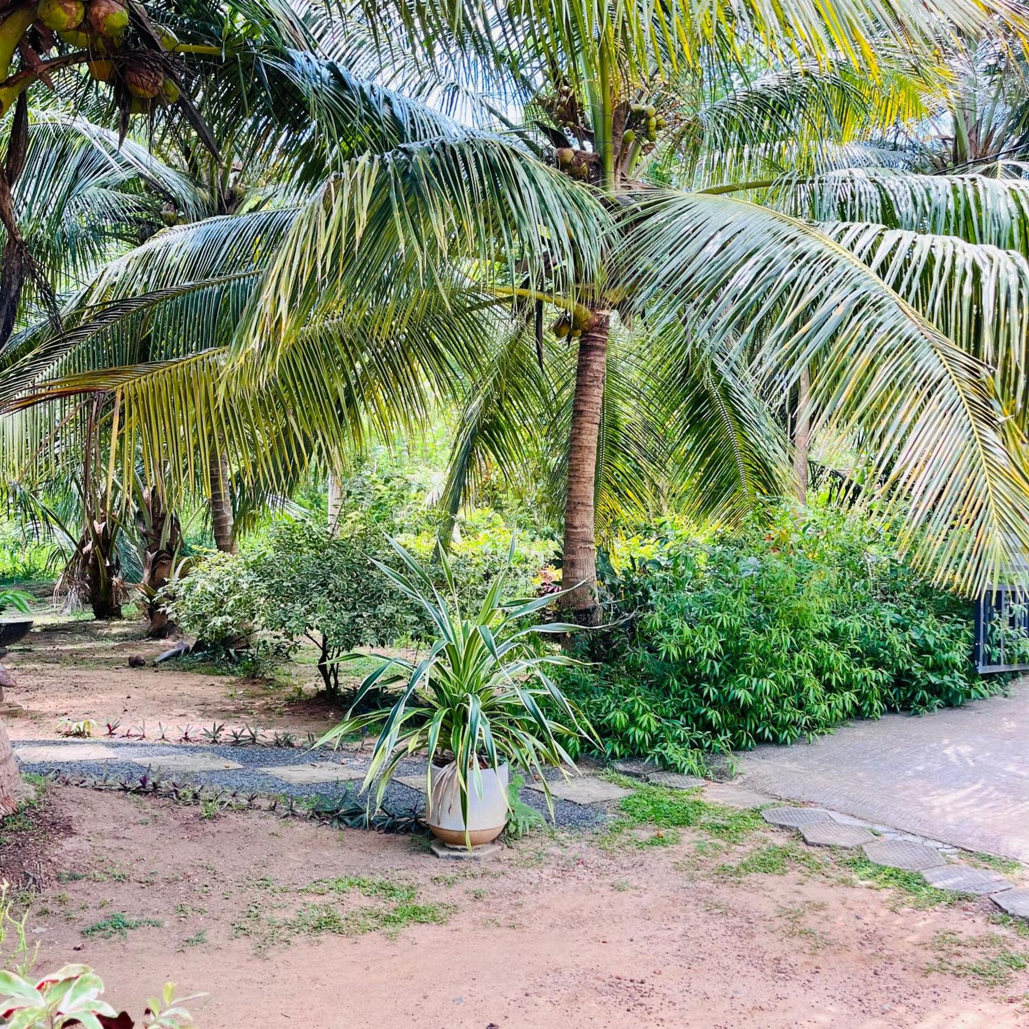 Hanguk Lanka Lagoon Villa 탕갈레 외부 사진