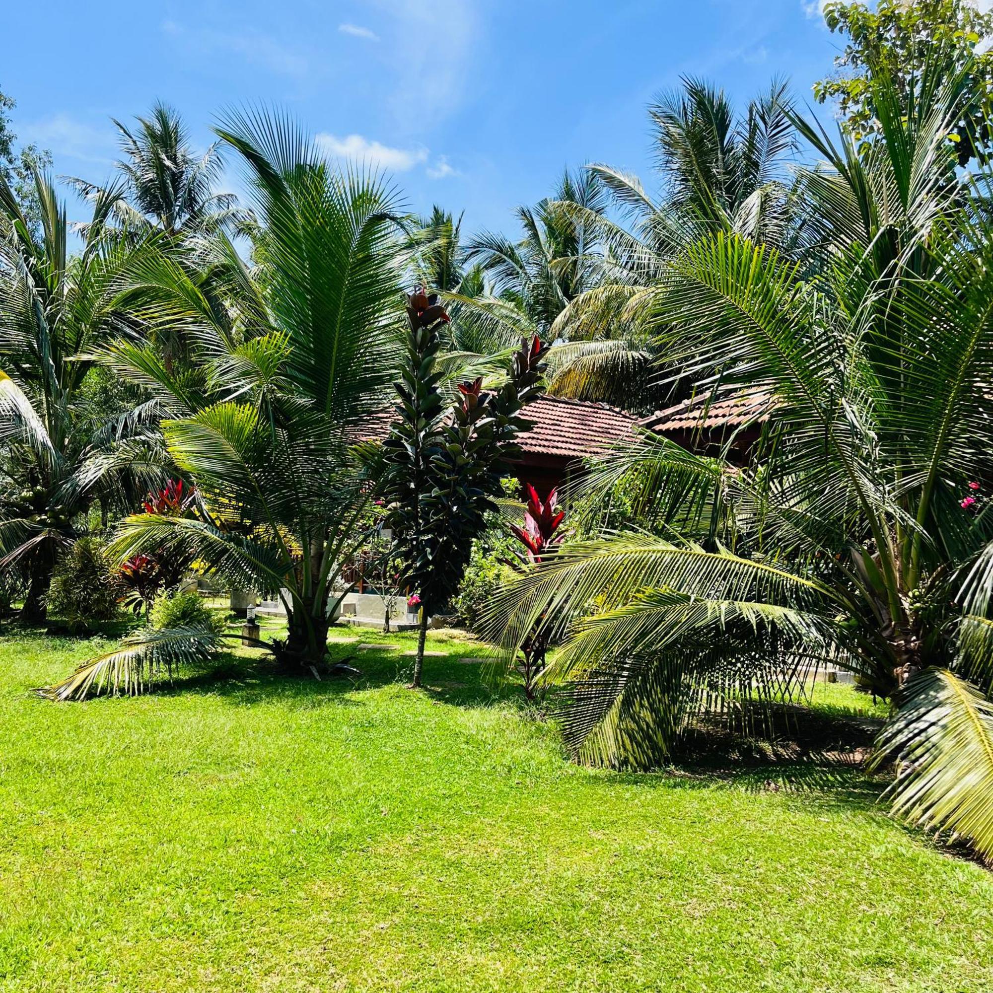Hanguk Lanka Lagoon Villa 탕갈레 외부 사진