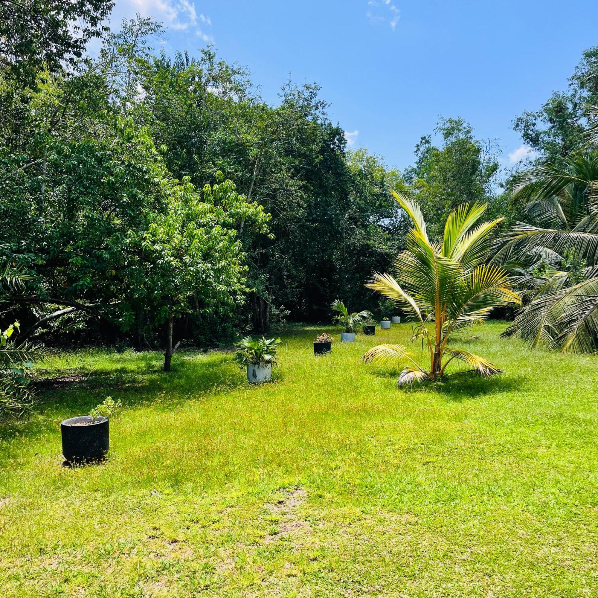 Hanguk Lanka Lagoon Villa 탕갈레 외부 사진