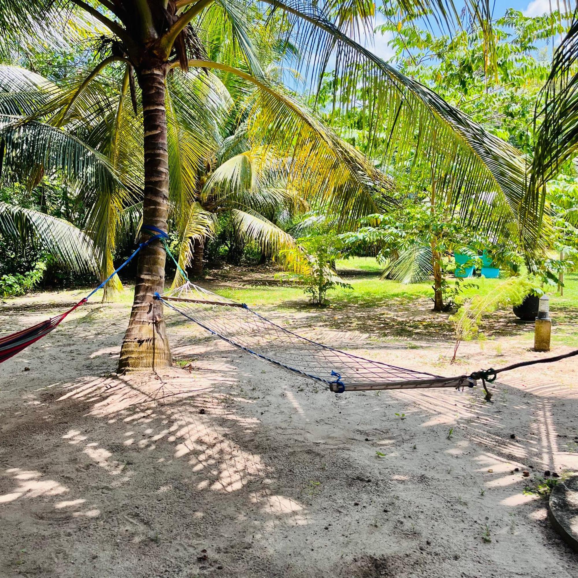 Hanguk Lanka Lagoon Villa 탕갈레 외부 사진