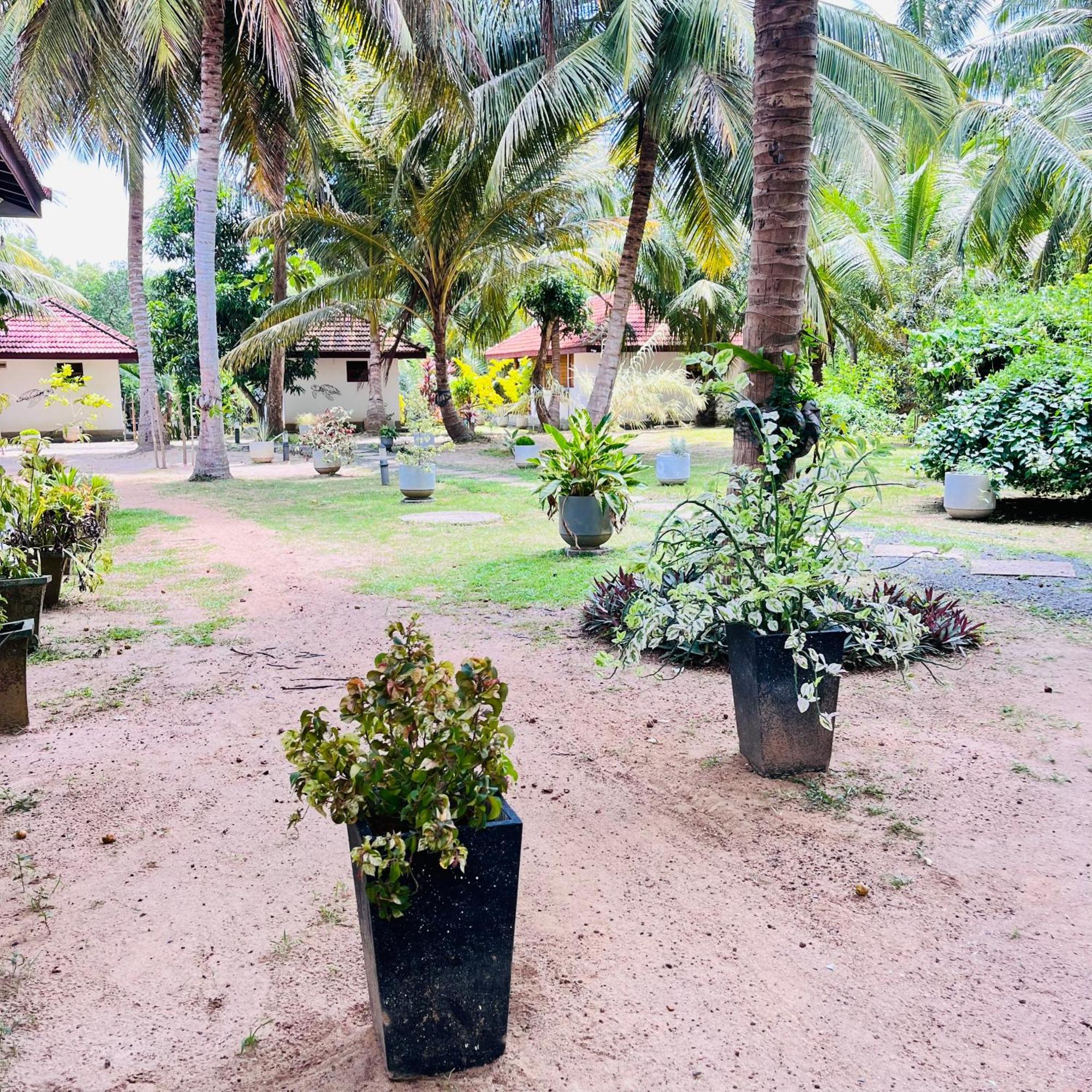 Hanguk Lanka Lagoon Villa 탕갈레 외부 사진