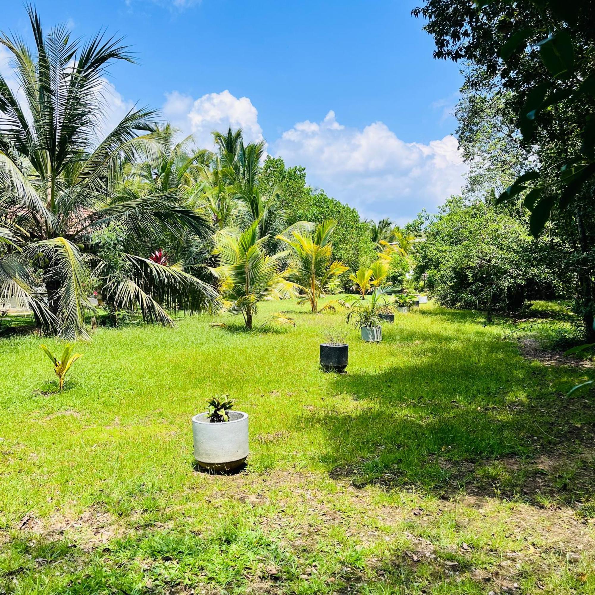 Hanguk Lanka Lagoon Villa 탕갈레 외부 사진