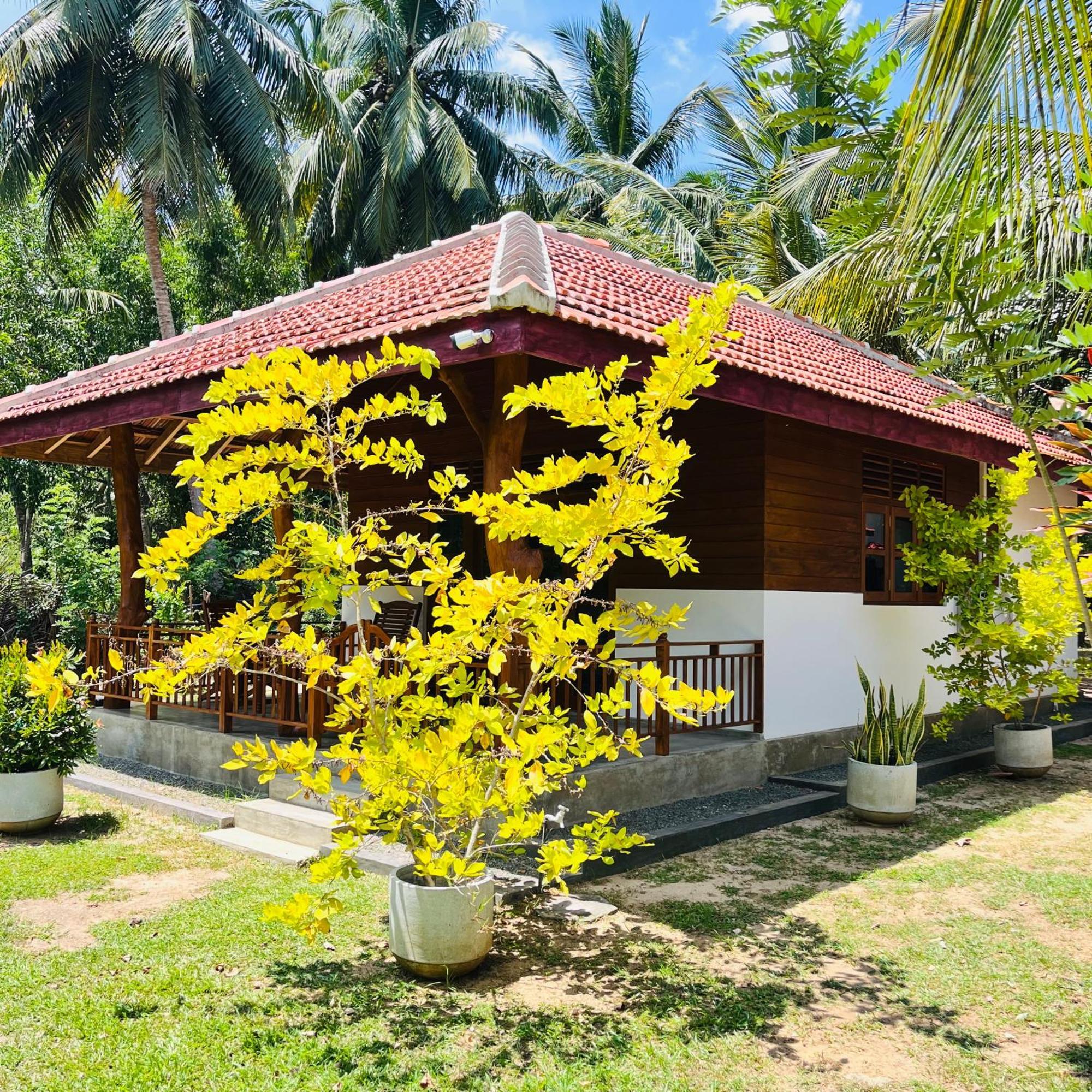 Hanguk Lanka Lagoon Villa 탕갈레 외부 사진