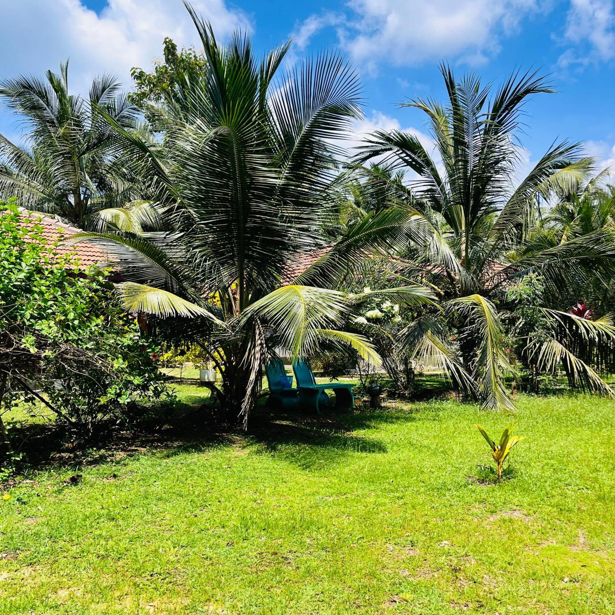Hanguk Lanka Lagoon Villa 탕갈레 외부 사진